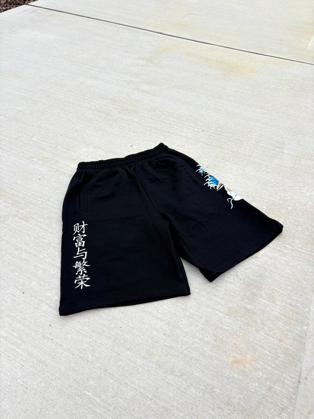 Wealth and Prosperity Sweat Shorts